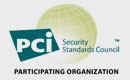 PCI security standards council